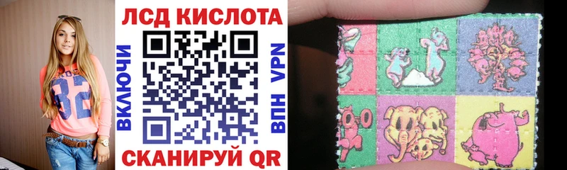 Купить где Дно Наркотические марки 1,5мг