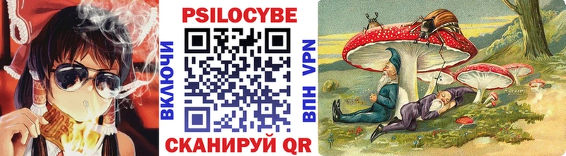 Галлюциногенные грибы ЛСД  Купить закладки  Дно 